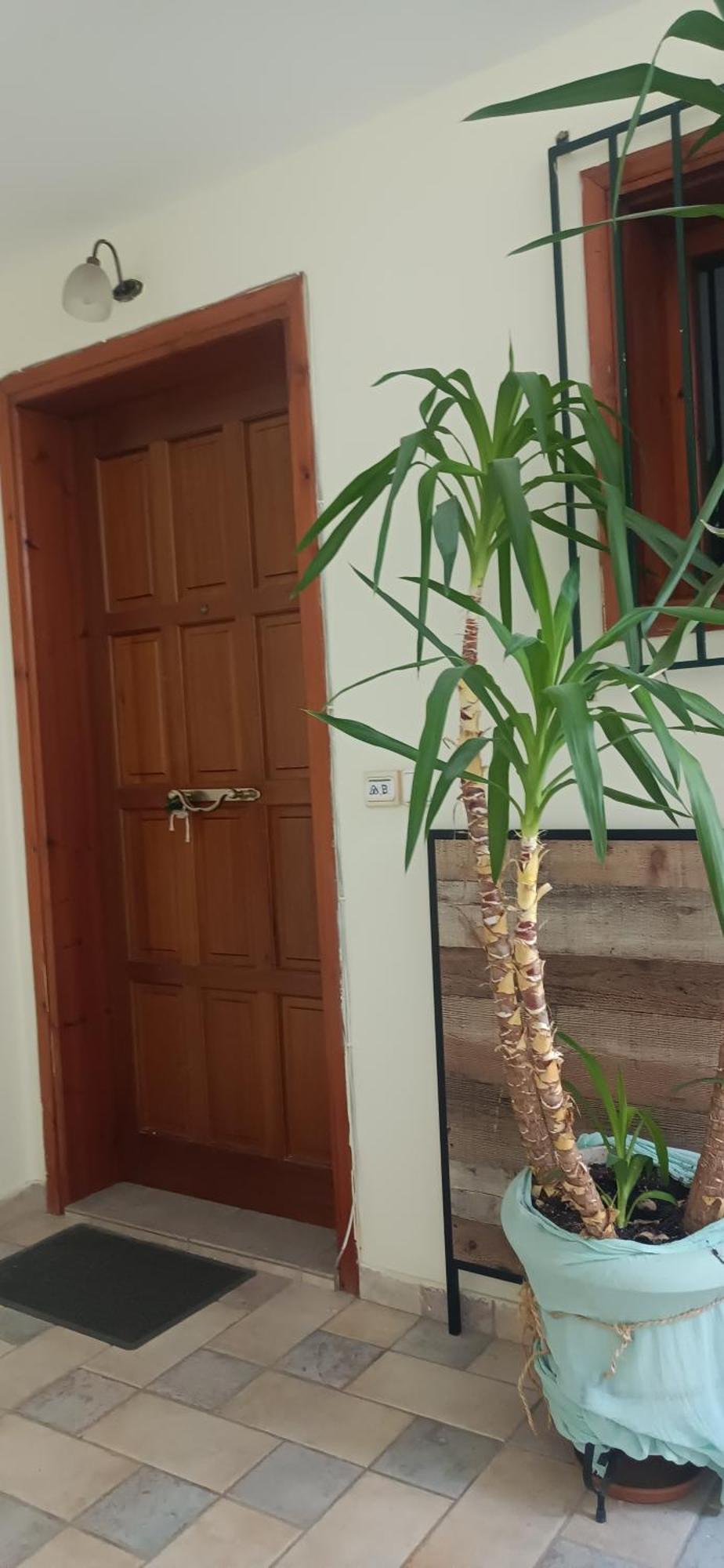 Apartmán Στούντιο Κέντρου Άνω Πόλης Πάτρας Exteriér fotografie
